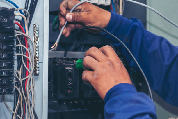 Best Electric Panel Repair  in Laurel, DE